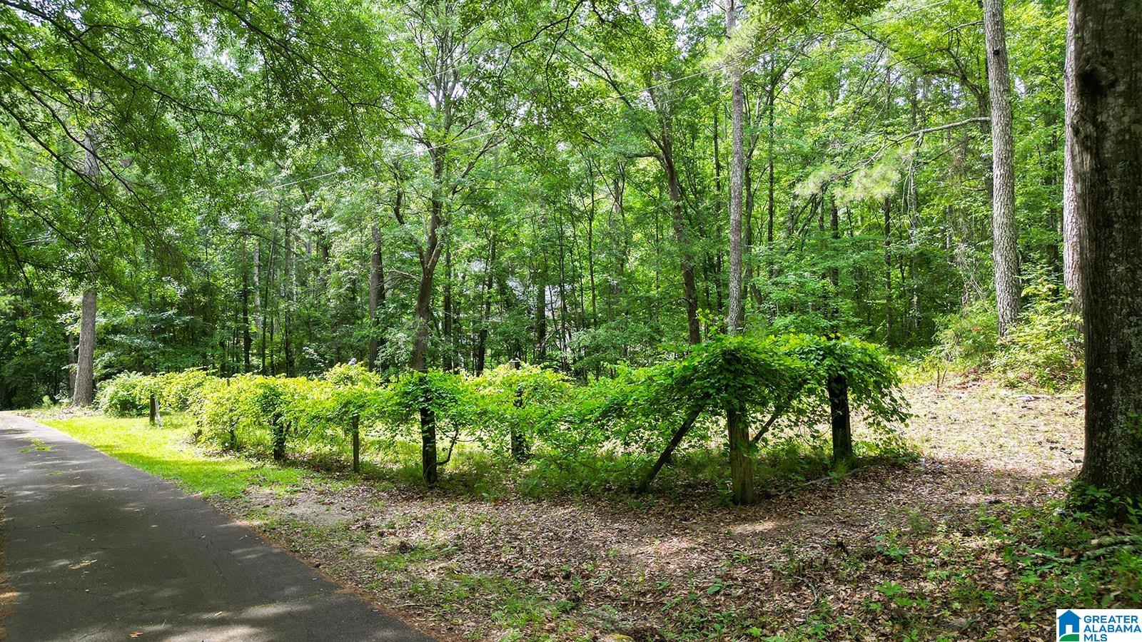 1500 Peaceburg Road Weaver, AL 36277 - Photo 55 of 57