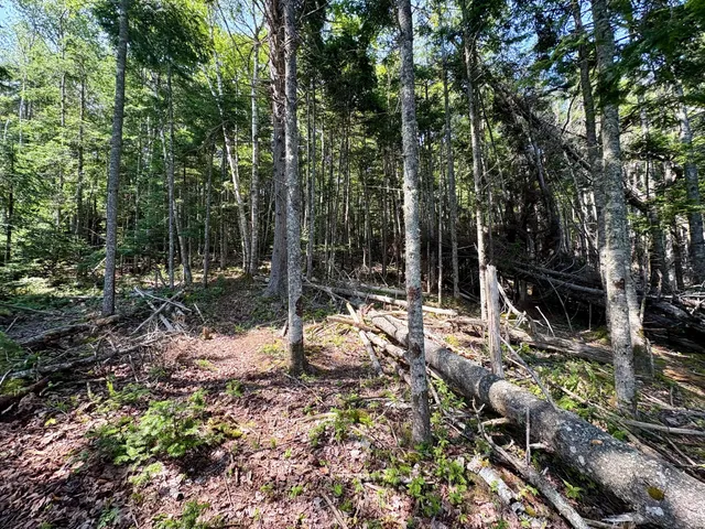 $129,900 | Lot 95 North Duck Cove Road, Roque Bluffs, ME 04654