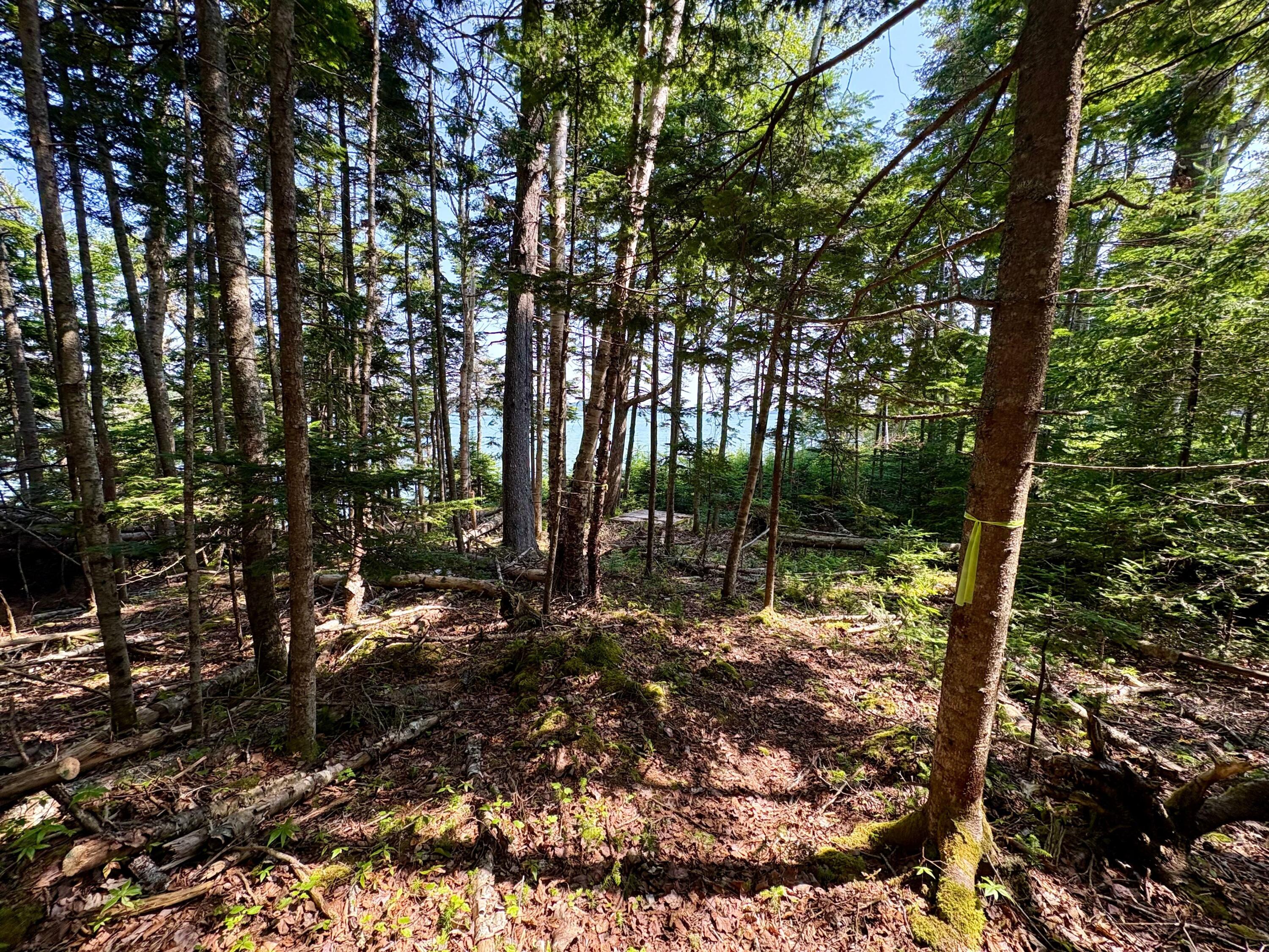 Lot 95 North Duck Cove Road Roque Bluffs, ME 04654 - Photo 13 of 23 View of Lot