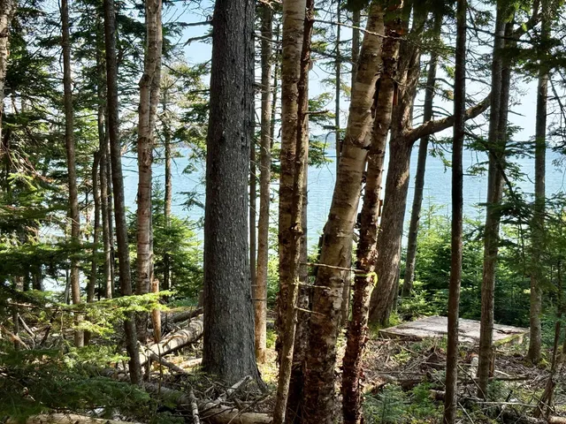 $129,900 | Lot 95 North Duck Cove Road, Roque Bluffs, ME 04654