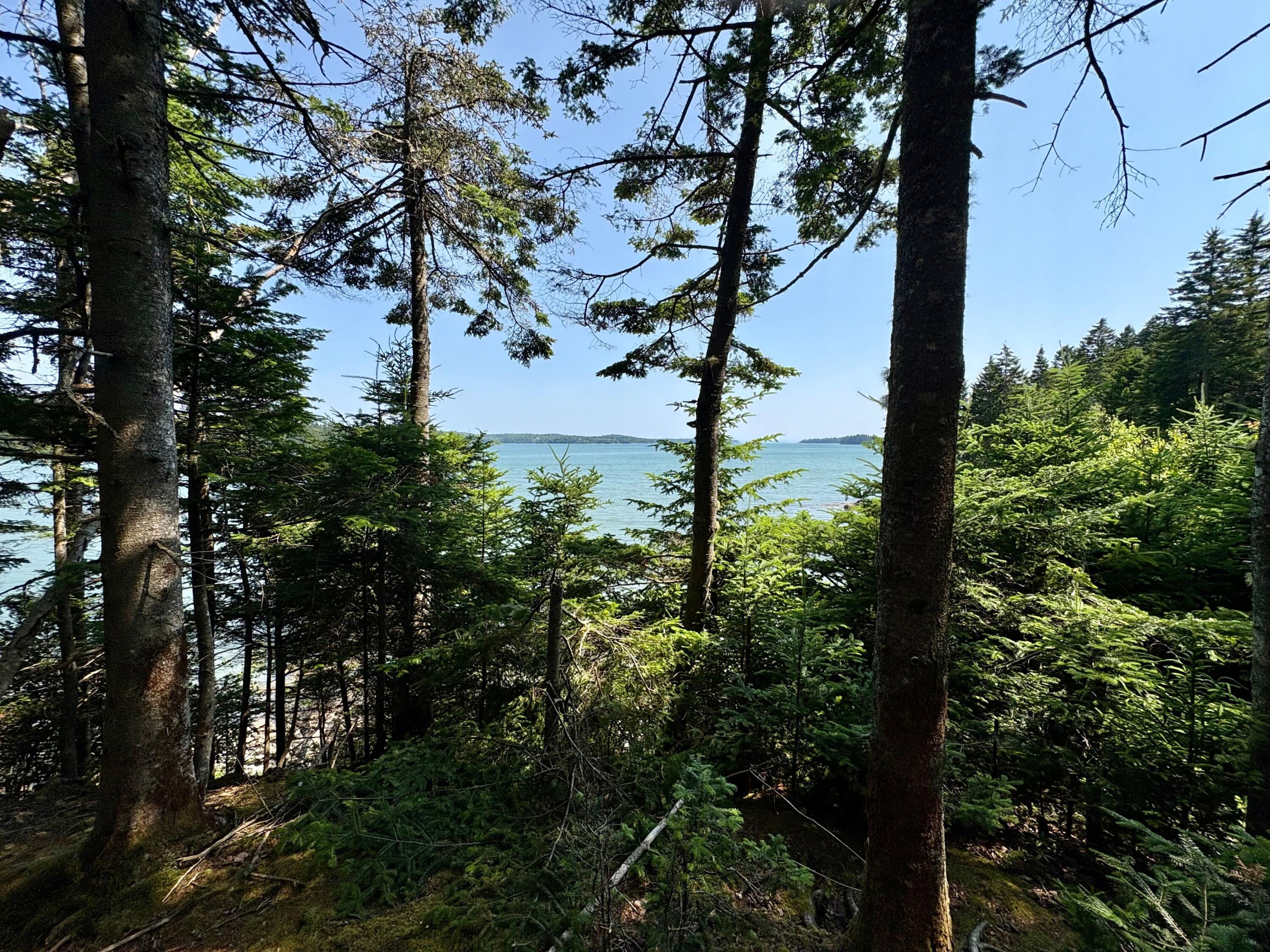 Lot 95 North Duck Cove Road Roque Bluffs, ME 04654 - Photo 16 of 23 Ocean View from Lot