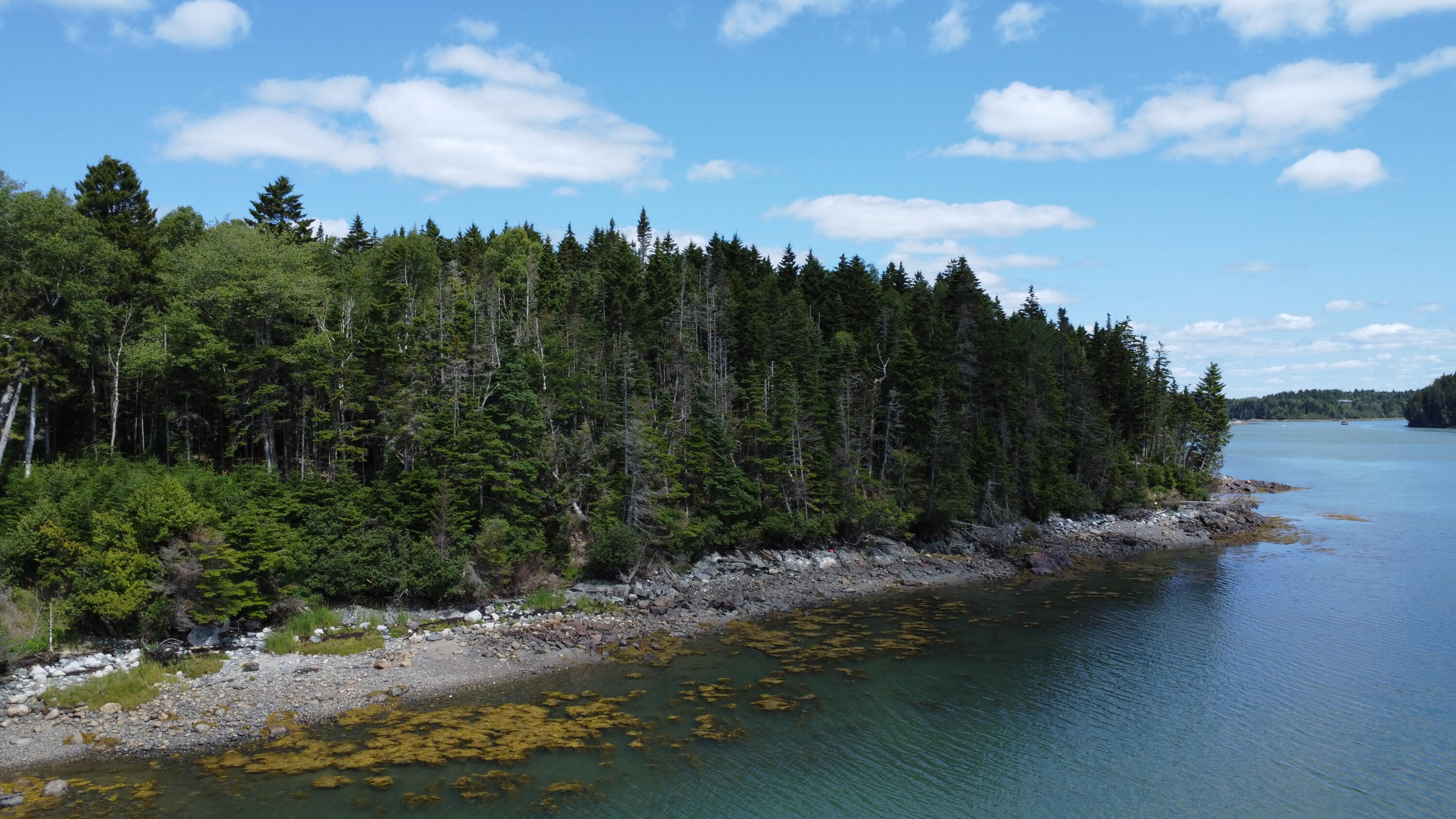 Lot 95 North Duck Cove Road Roque Bluffs, ME 04654 - Photo 5 of 23 Aerial View of Shoreline