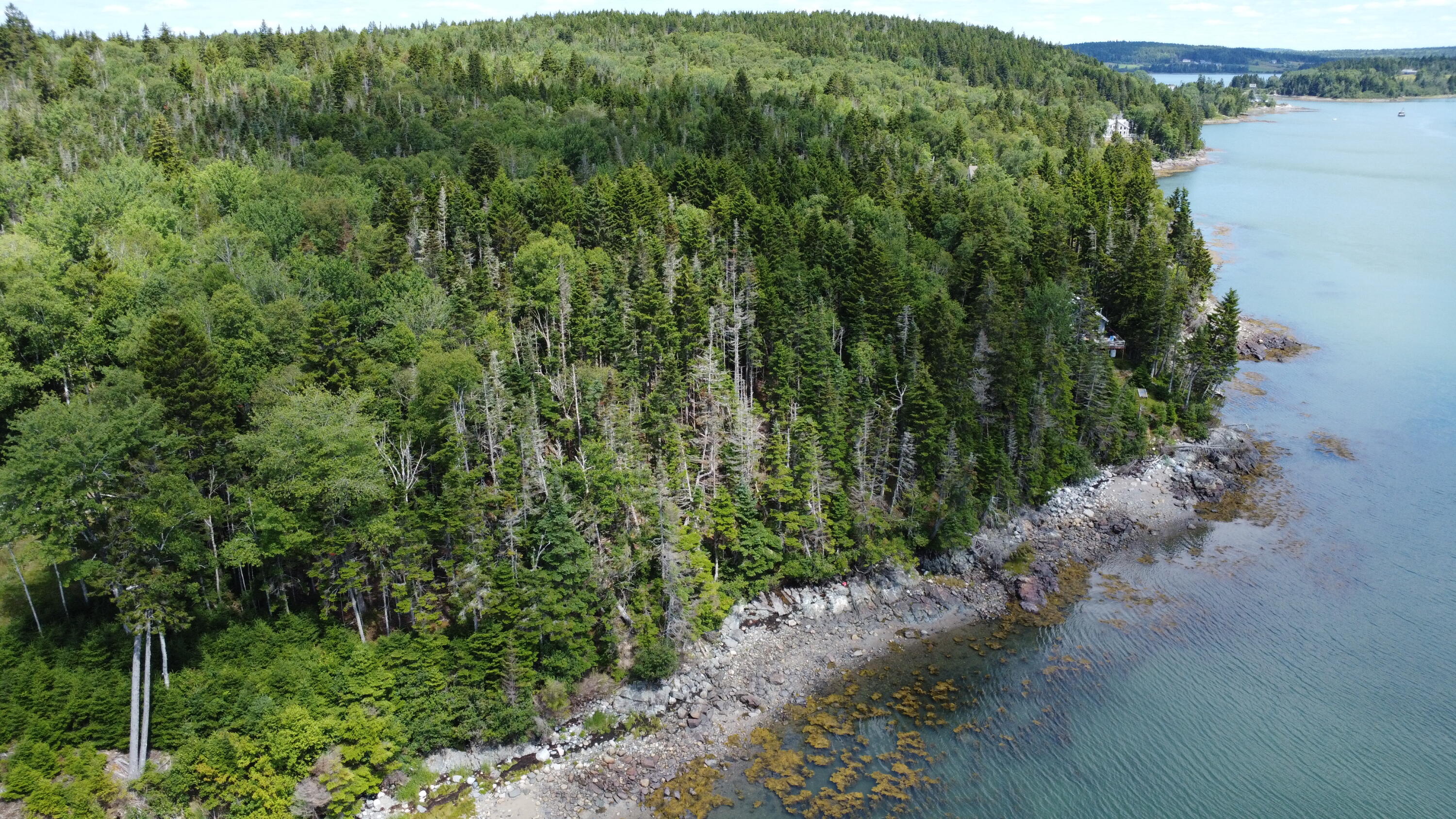 Lot 95 North Duck Cove Road Roque Bluffs, ME 04654 - Photo 6 of 23 Aerial View of Shoreline