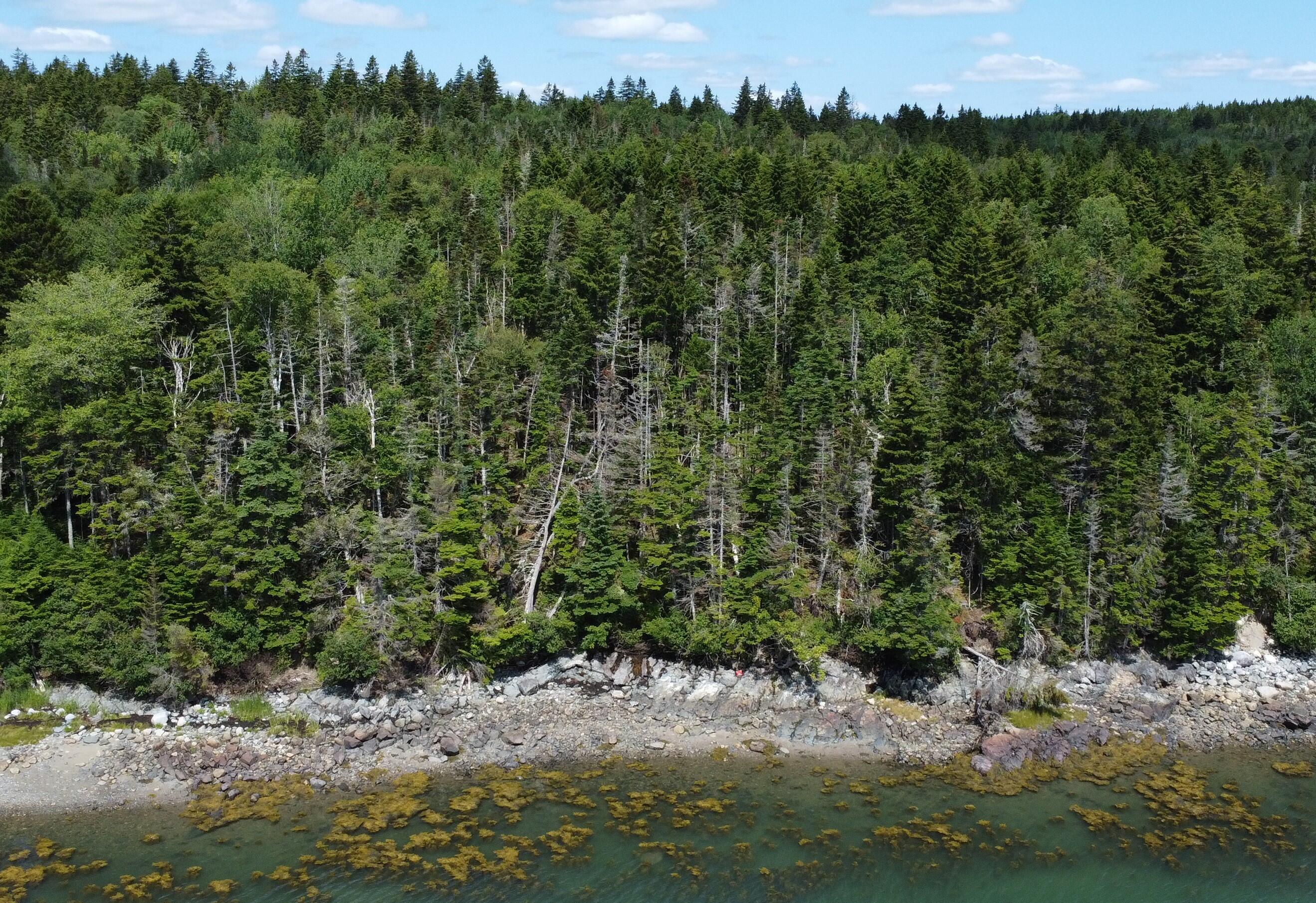 Lot 95 North Duck Cove Road Roque Bluffs, ME 04654 - Photo 7 of 23 Aerial View of Shoreline