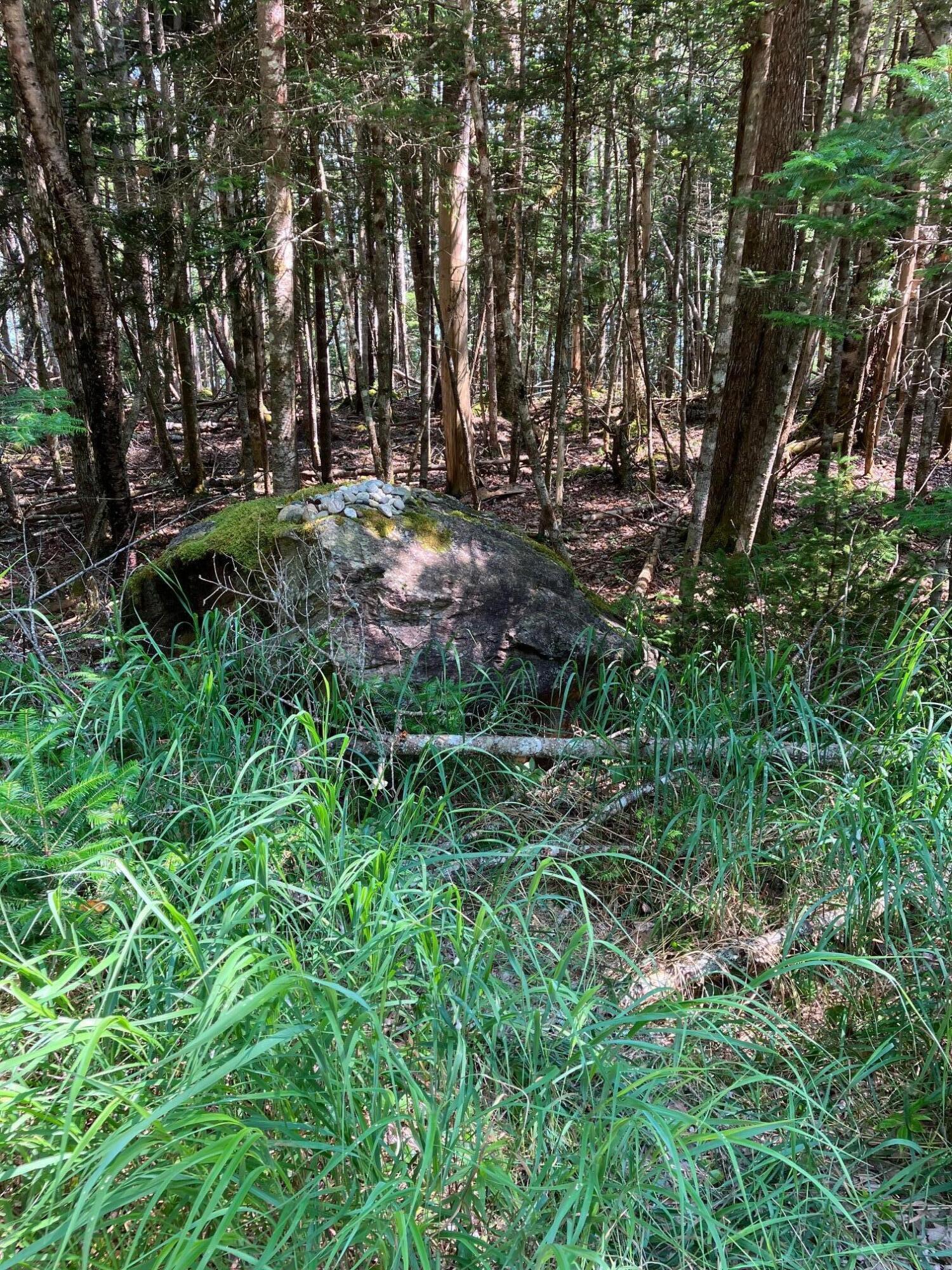 Lot 95 North Duck Cove Road Roque Bluffs, ME 04654 - Photo 9 of 23 View of Lot Near Road