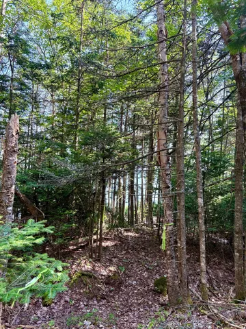 $129,900 | Lot 95 North Duck Cove Road, Roque Bluffs, ME 04654