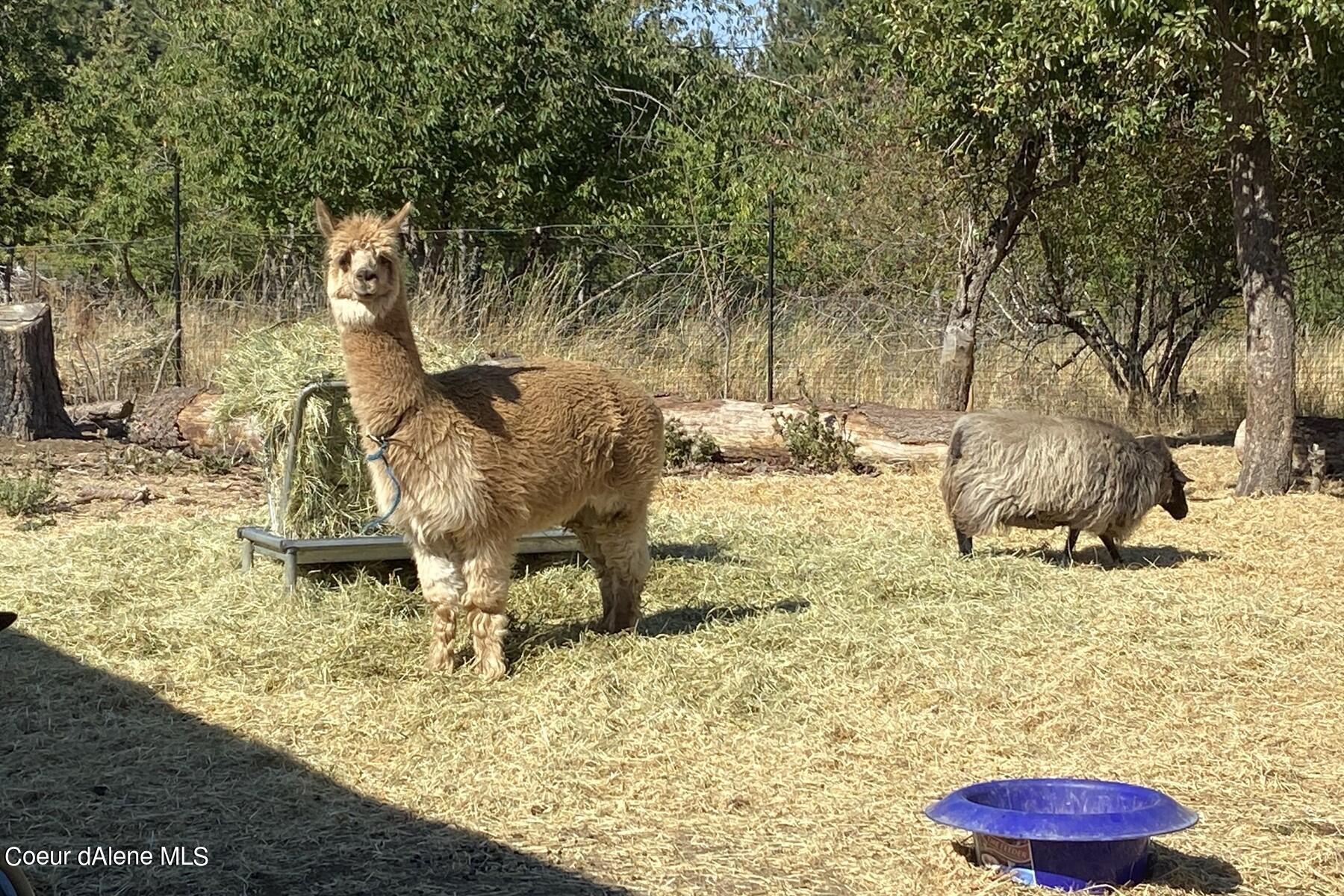 2938 East Murphy Road Coeur D'Alene, ID 83814 - Photo 24 of 51 Cute!!