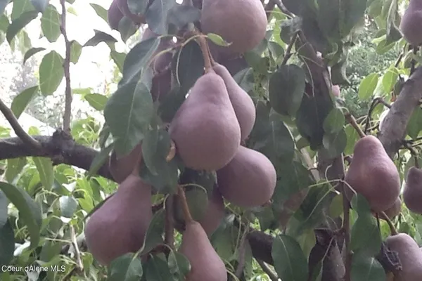 $2,175,000 | 2938 East Murphy Road, Coeur D'Alene, ID 83814