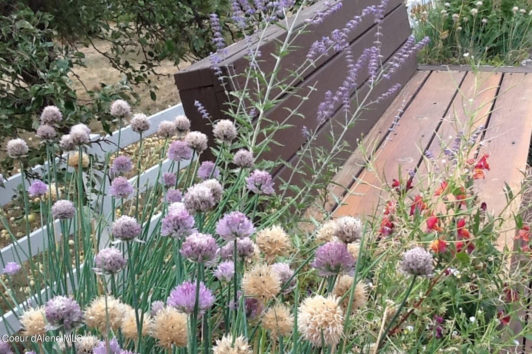 2938 East Murphy Road Coeur D'Alene, ID 83814 - Photo 45 of 51 Gardens