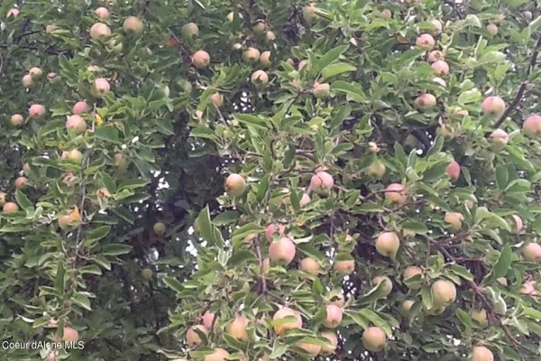 $2,175,000 | 2938 East Murphy Road, Coeur D'Alene, ID 83814