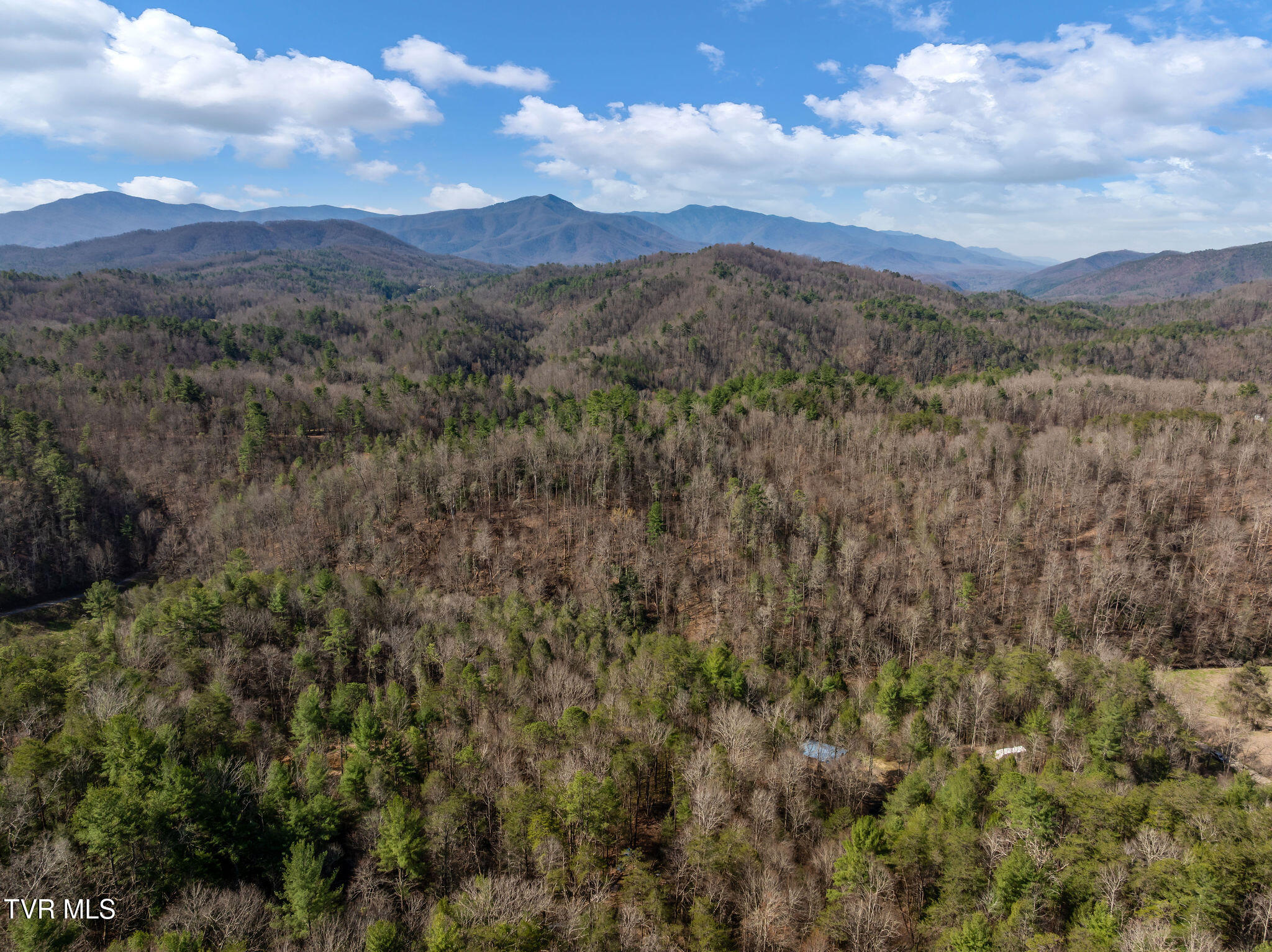 Tbd Raven Branch Road Del Rio, TN 37727 - Photo 13 of 29 DJI_0454