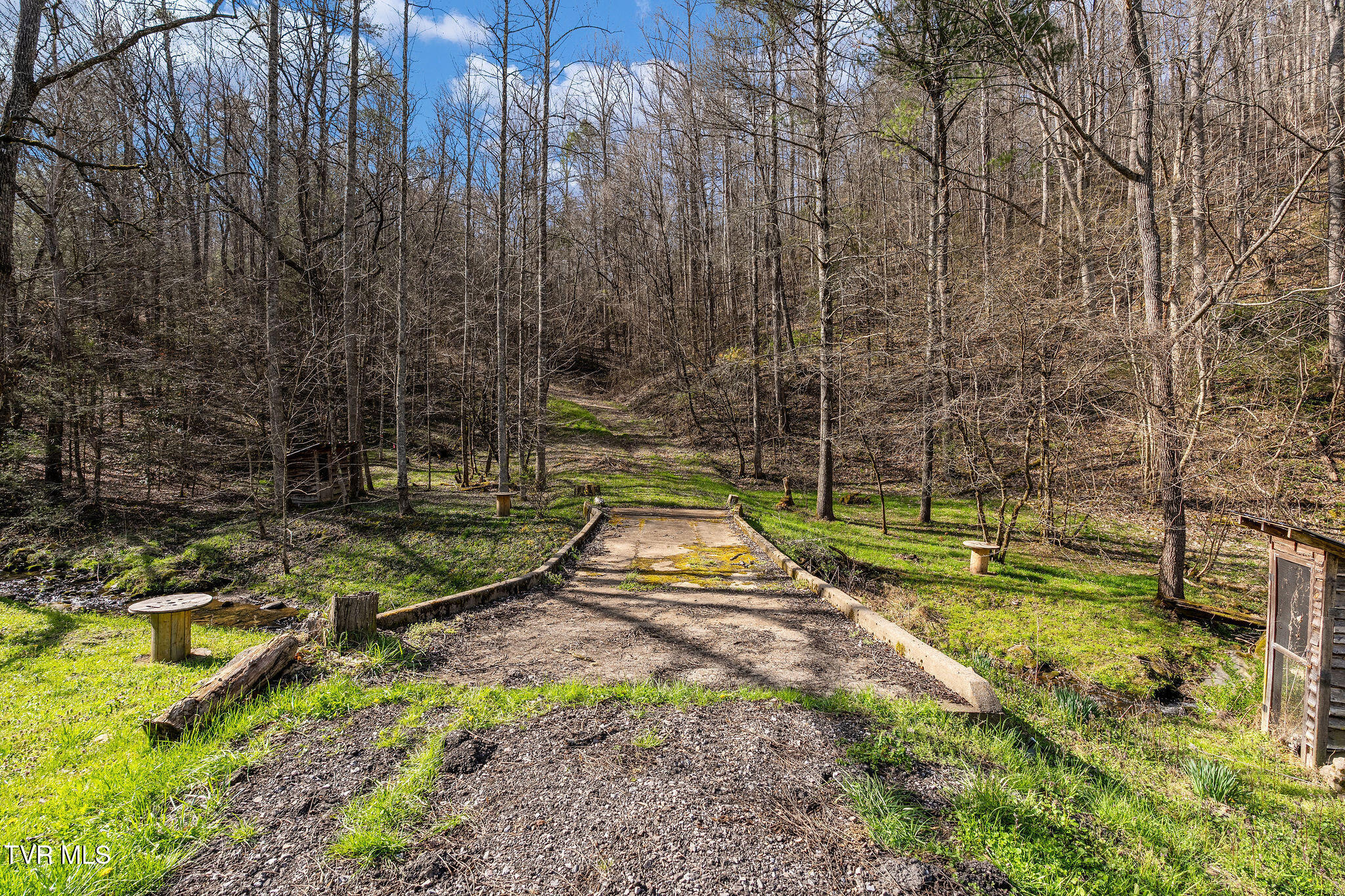 Tbd Raven Branch Road Del Rio, TN 37727 - Photo 28 of 29 DSC08854