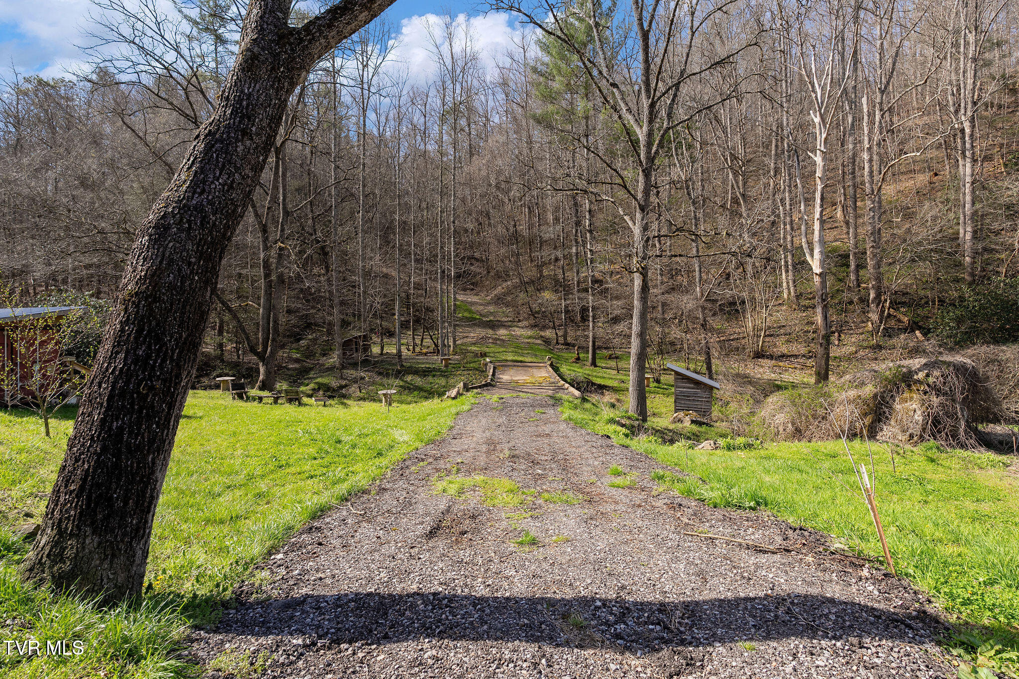 Tbd Raven Branch Road Del Rio, TN 37727 - Photo 29 of 29 DSC08855