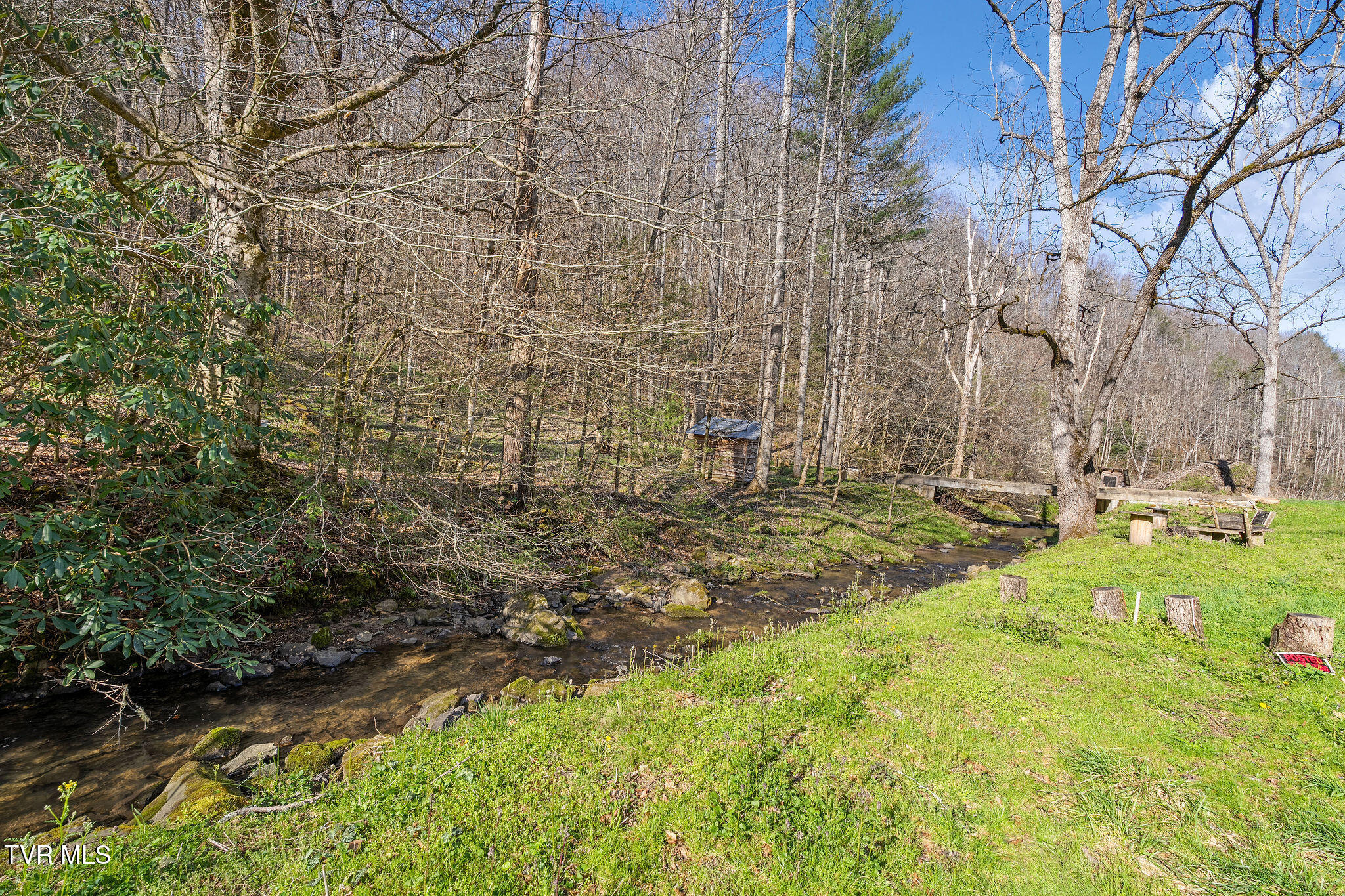 Tbd Raven Branch Road Del Rio, TN 37727 - Photo 10 of 29 DSC08839