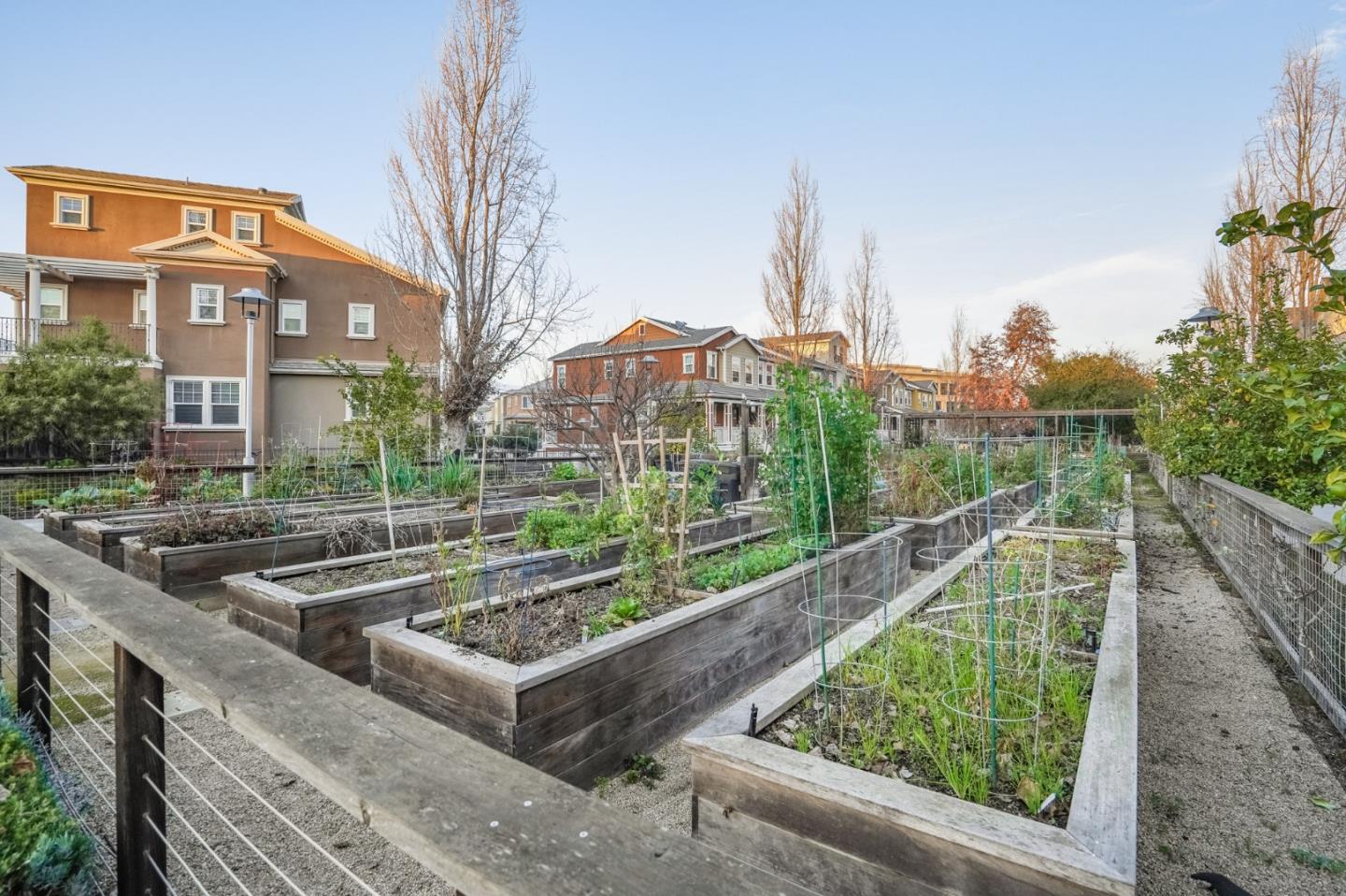 415 Franklin Parkway San Mateo, CA 94403 - Photo 24 of 31 a view of a house with a garden and pathway