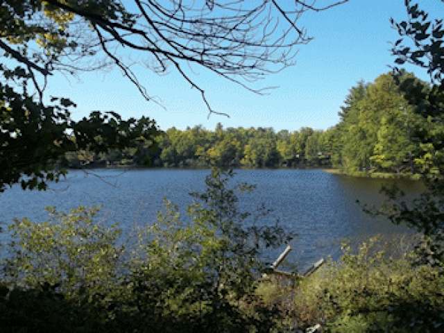 4088 Peninsula Road Park Falls, WI 54552 - Photo 4 of 11 Gallery Image 4