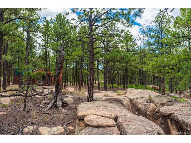 $305,000 | 13250 Mountain Meadow Trace, Weston, CO 81091