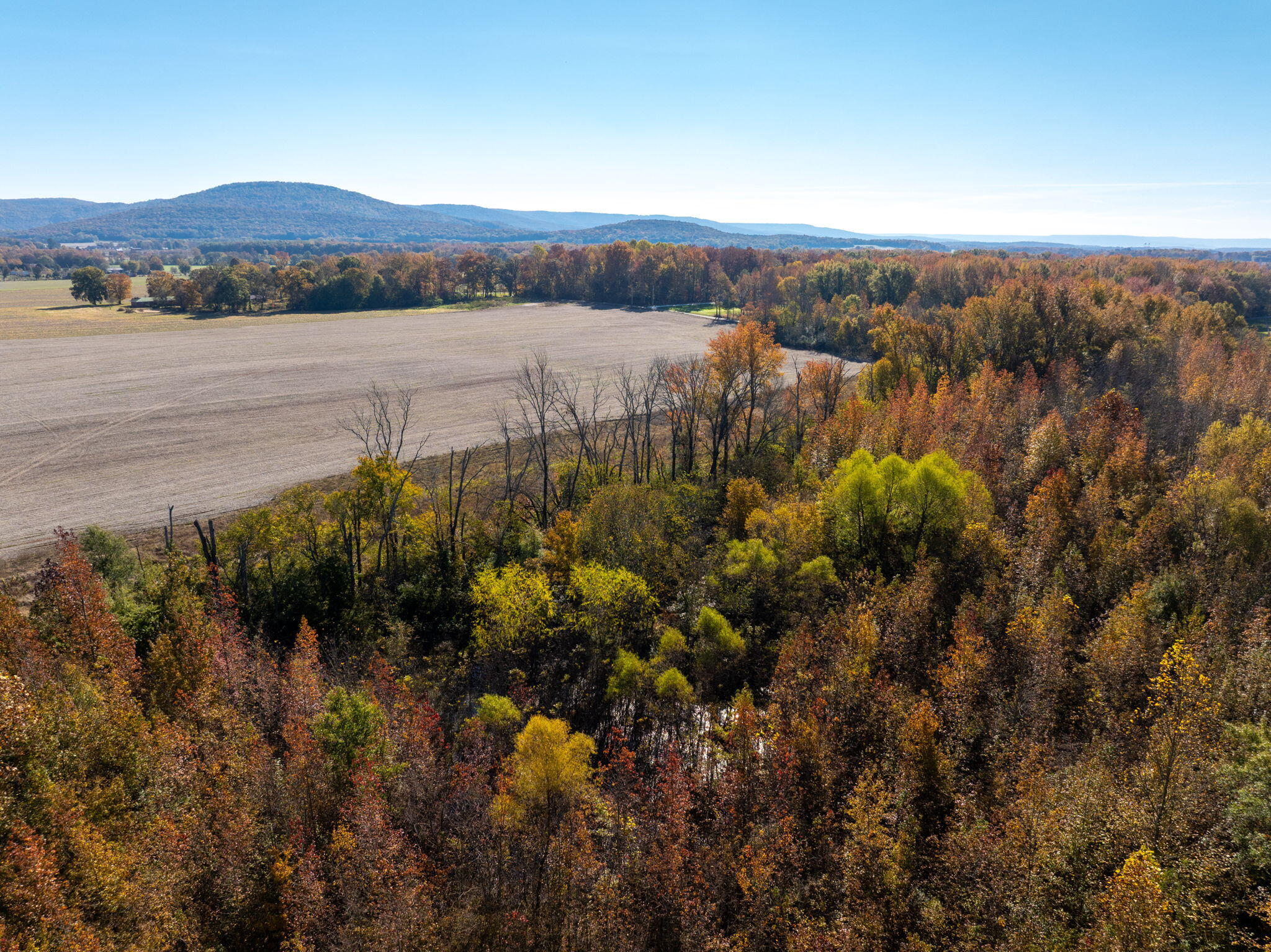 0 Old Airport Road, Unit LOT 10 Hillsboro, TN 37342 - Photo 7 of 25 17-web-or-mls-DJI_20251102125619_0995_D-