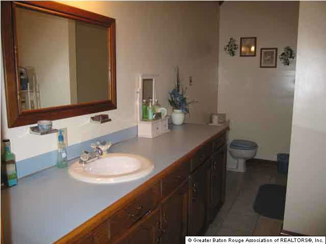 16465 Issac Villar Road Prairieville, LA 70769 - Photo 5 of 6 Gallery Image 5
