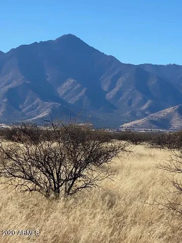 a view of a yard with a mountain