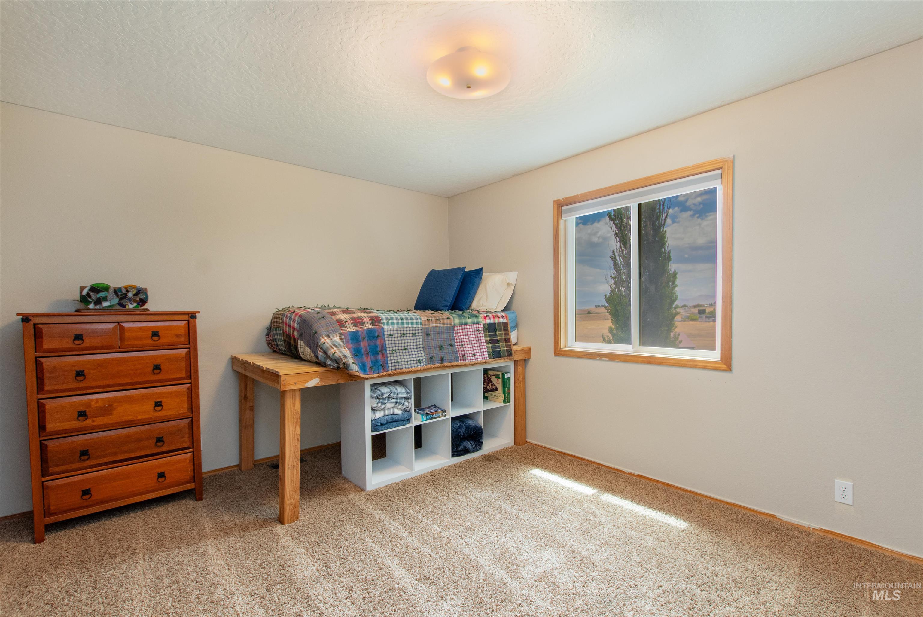 12369 Deer Flat Road Nampa, ID 83686 - Photo 38 of 50 Garage and Shop