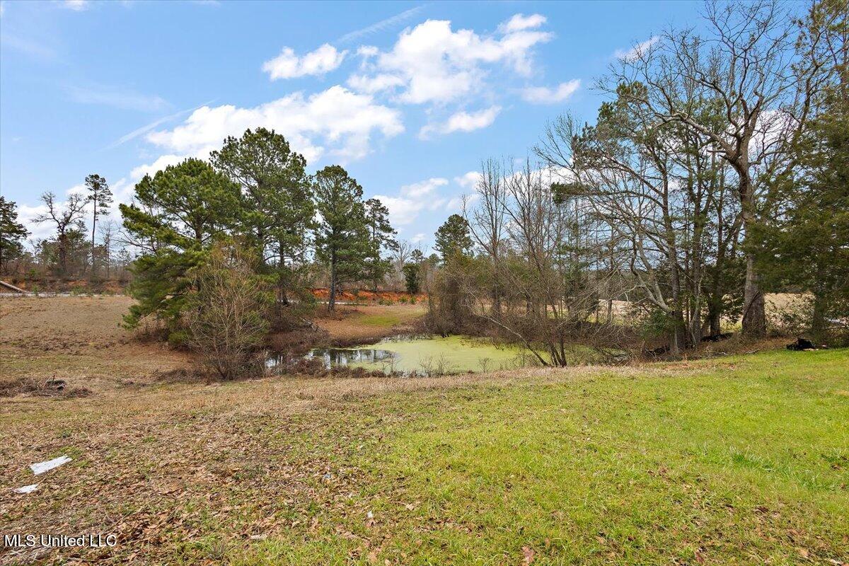 1233 Highway 25 Carthage, MS 39051 - Photo 35 of 38 35-HTP_0579