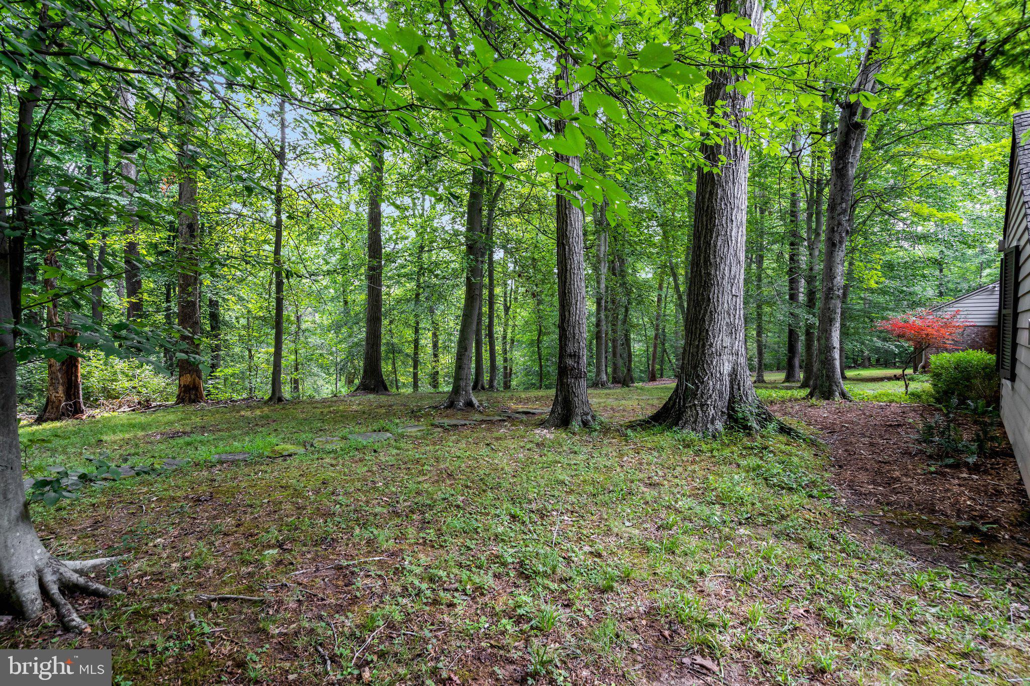 7430 Clifton Road Clifton, VA 20124 - Photo 73 of 90 Gallery Image 73