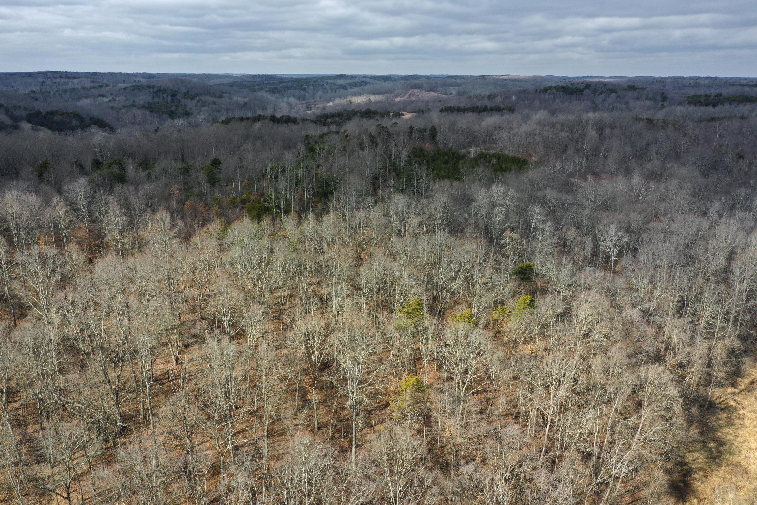 0 Harble Griffith Road Logan, OH 43138 - Photo 12 of 17