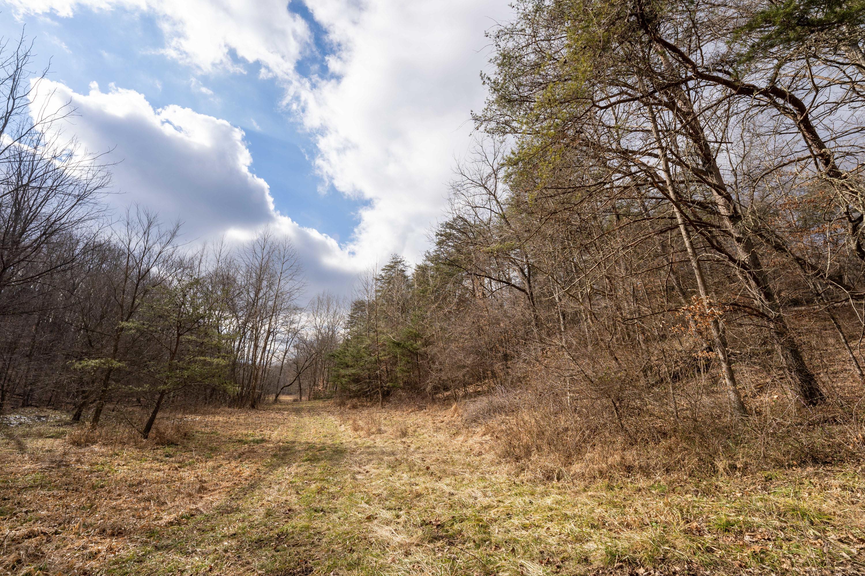 0 Harble Griffith Road Logan, OH 43138 - Photo 2 of 17