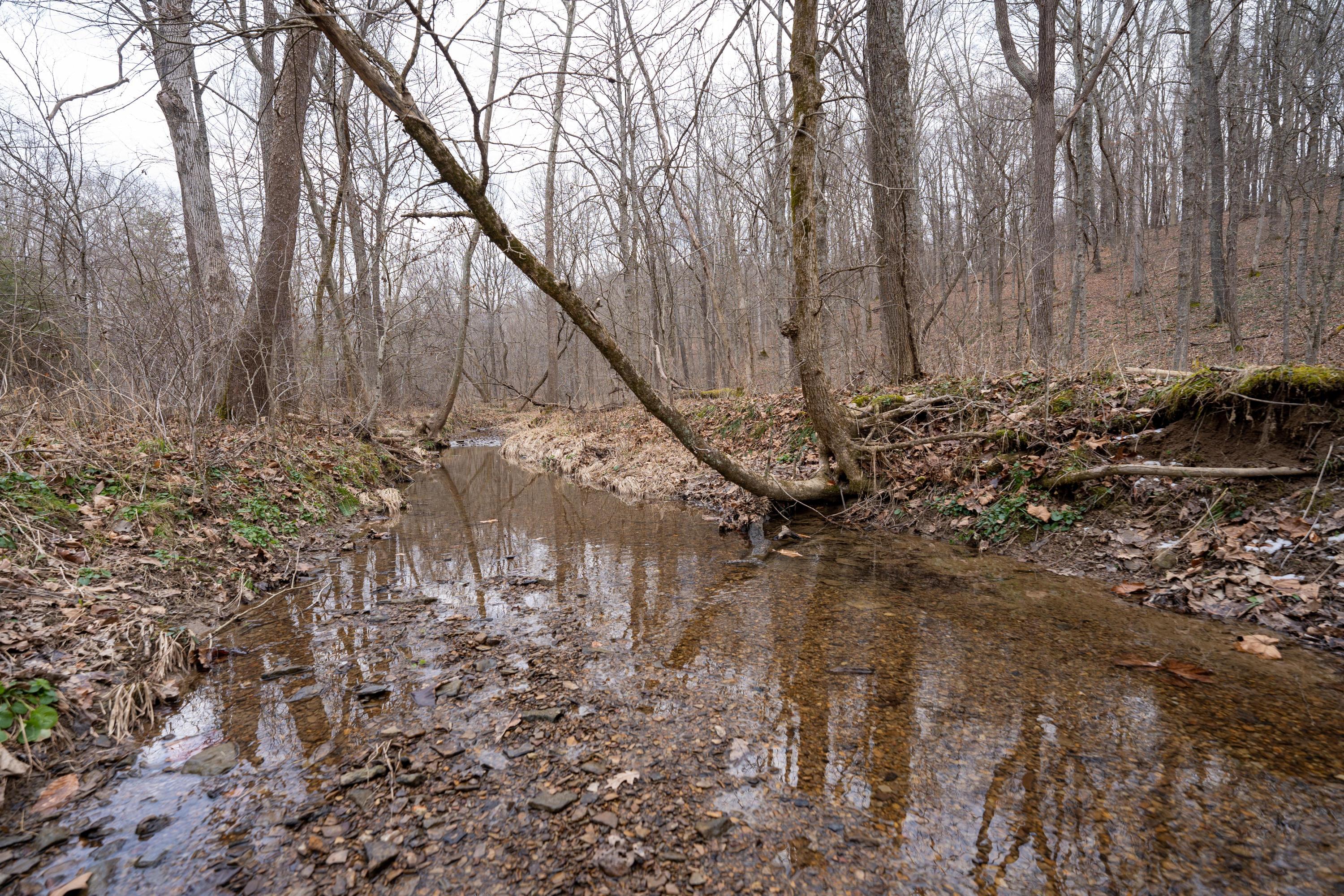 0 Harble Griffith Road Logan, OH 43138 - Photo 5 of 17