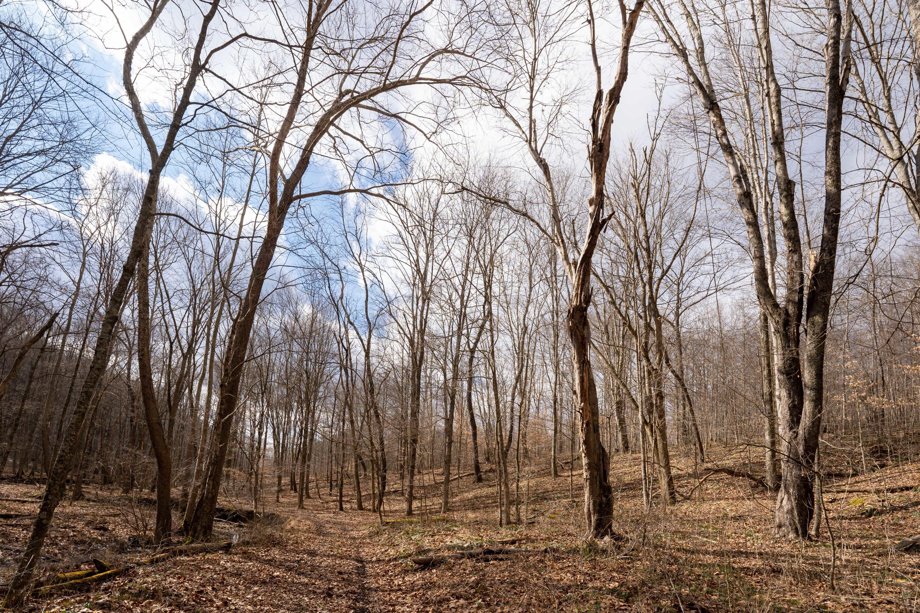 0 Harble Griffith Road Logan, OH 43138 - Photo 6 of 17