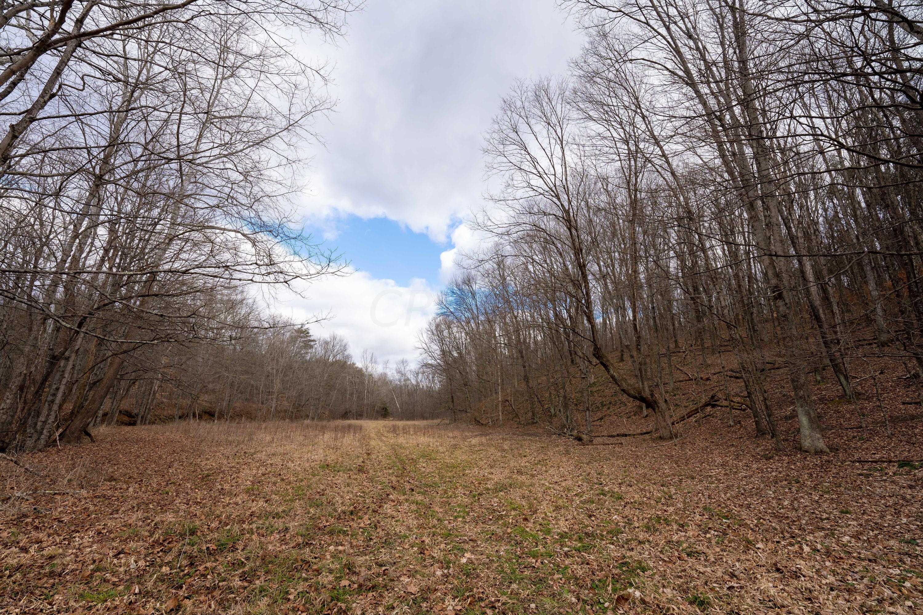 0 Harble Griffith Road Logan, OH 43138 - Photo 7 of 17
