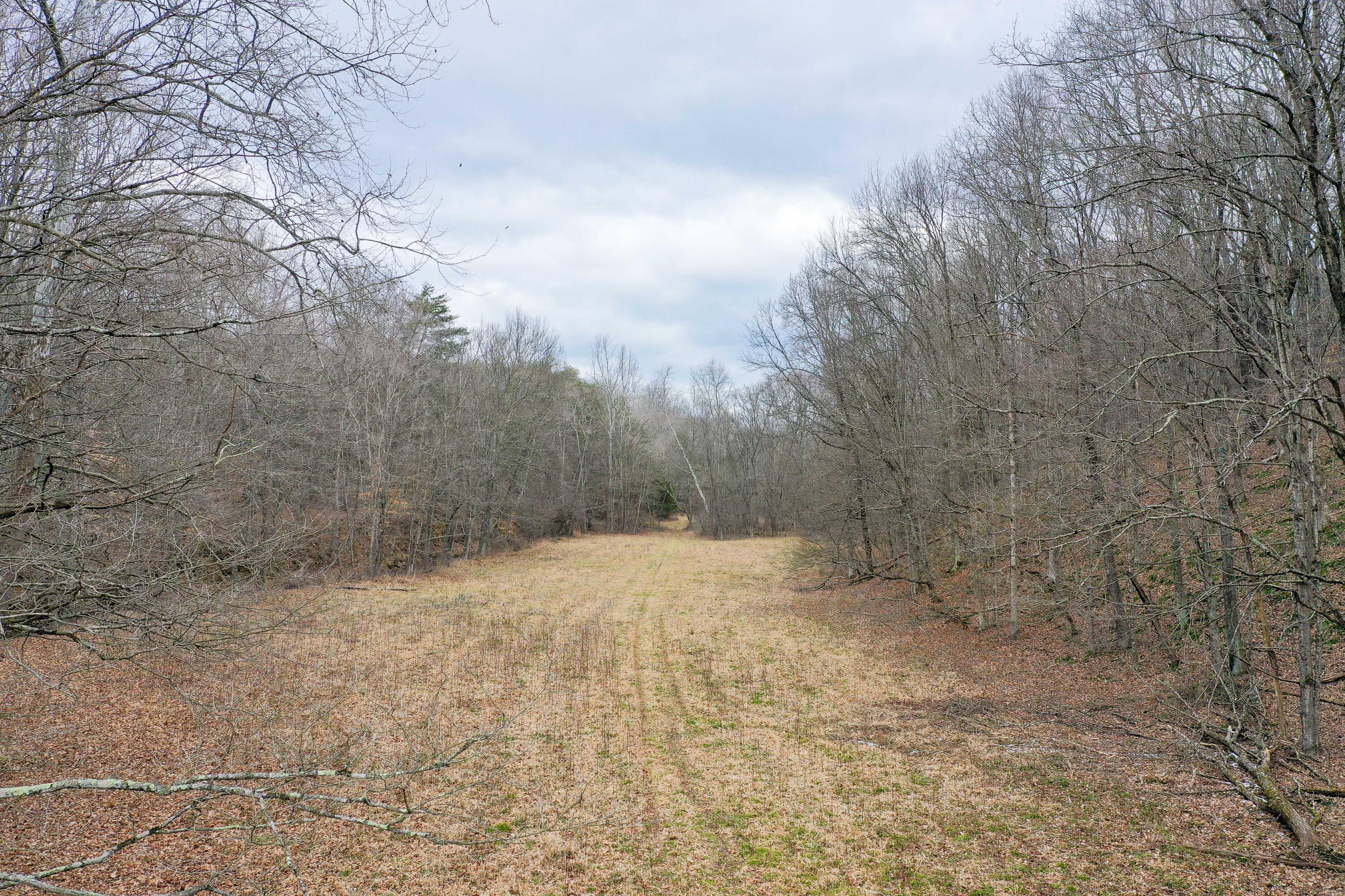 0 Harble Griffith Road Logan, OH 43138 - Photo 8 of 17