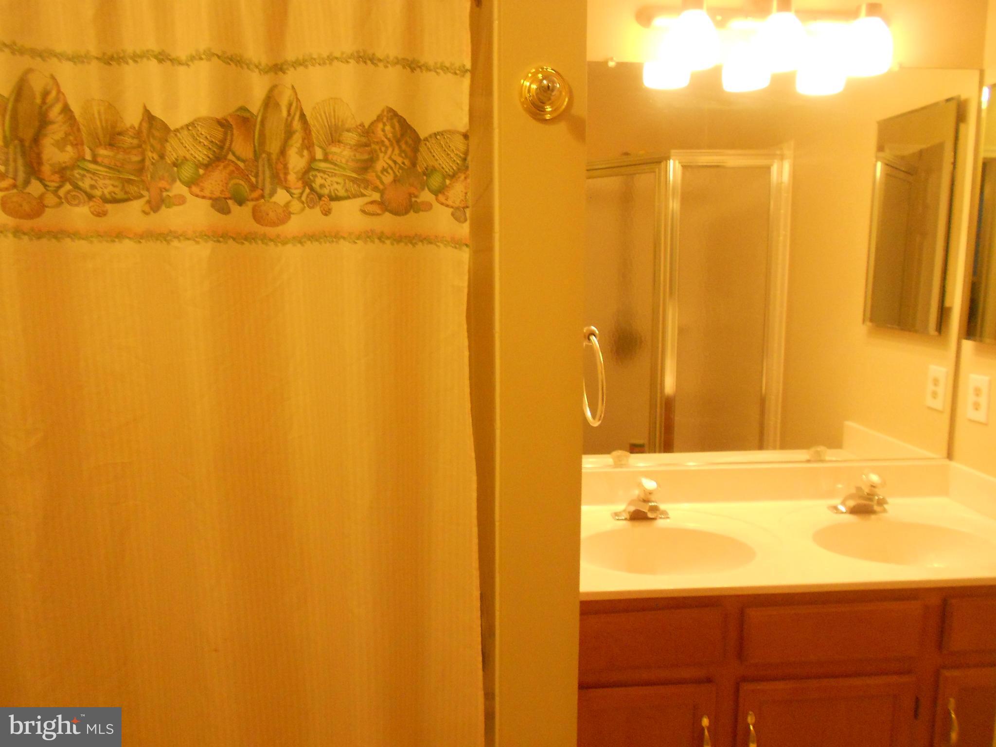 9103 Ridgefield Lane Frederick, MD 21701 - Photo 13 of 30 Bath (Master)