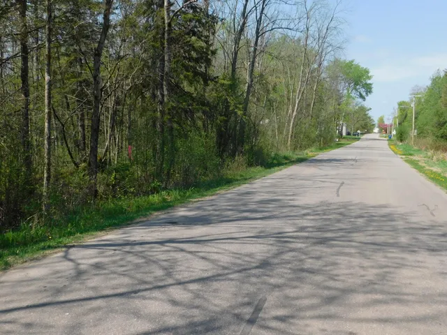 $12,000 | Lt0 East Reed Street, Wittenberg, WI 54499