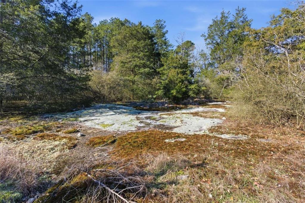 0 Pate Road Snellville, GA 30078 - Photo 19 of 20