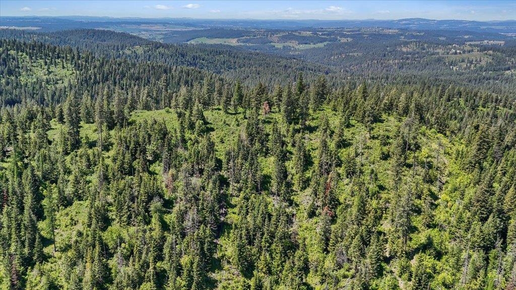 18-xxx East Miner Road Mead, WA 99021 - Photo 4 of 40