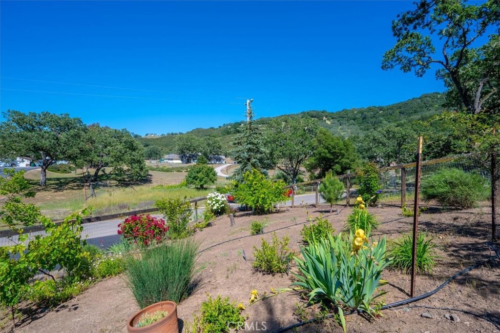 11625 Cenegal Road Atascadero, CA 93422 - Photo 39 of 54