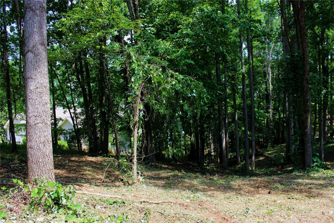 Lot 15 Luther Land Road Seneca, SC 29672 - Photo 18 of 38 Gallery Image 18