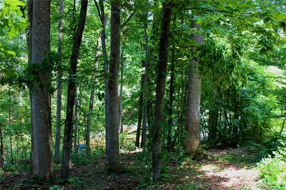 Lot 15 Luther Land Road Seneca, SC 29672 - Photo 23 of 38 Gallery Image 23