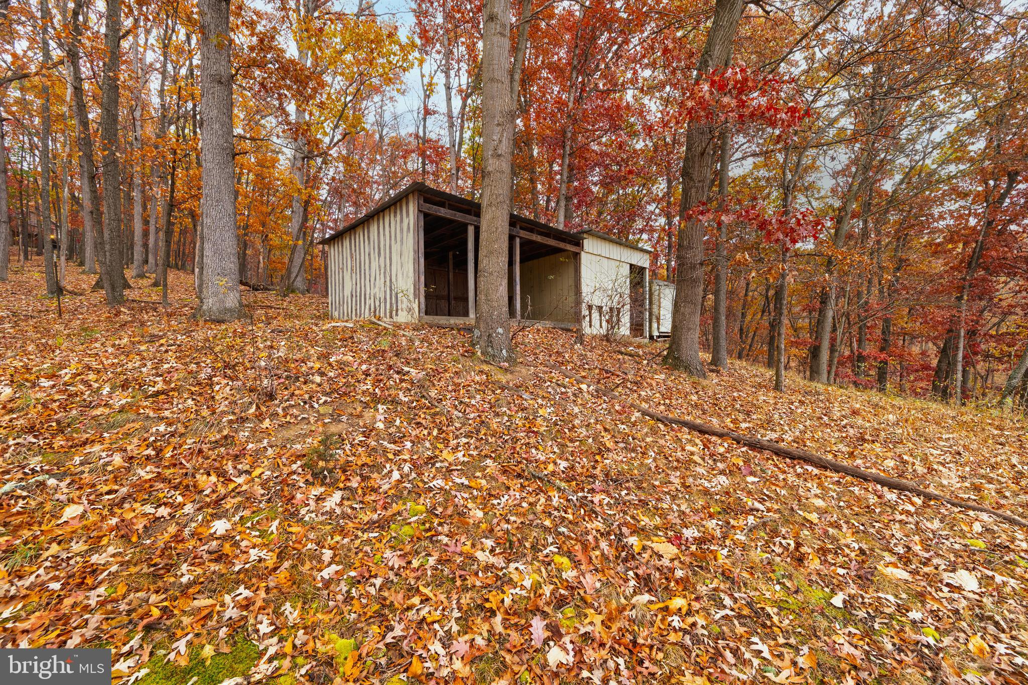 2906 Needmore Road Baker, WV 26801 - Photo 9 of 22 a front view of house with yard