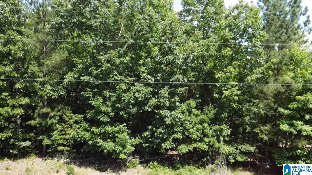 0 Wolf Pen Ridge Road, Unit 3 ACRES Pell City, AL 35128 - Photo 4 of 5