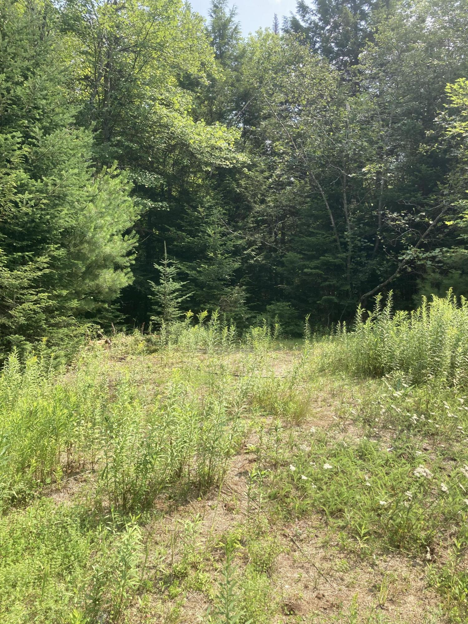 Lot 30 Dead River Road Bowdoin, ME 04287 - Photo 2 of 7 Photo Jul 27, 2 06 47 PM