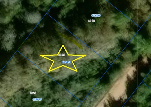 an aerial view of a house with pool yard and green space