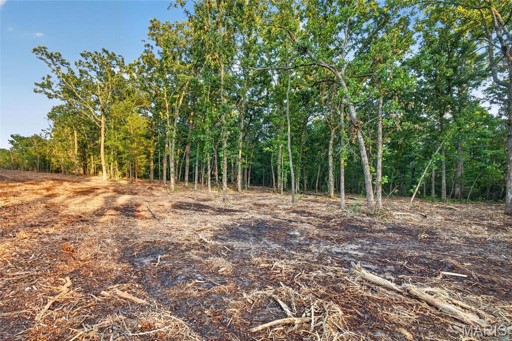 3 Cantrell Road Mansfield, MO 65704 - Photo 5 of 14