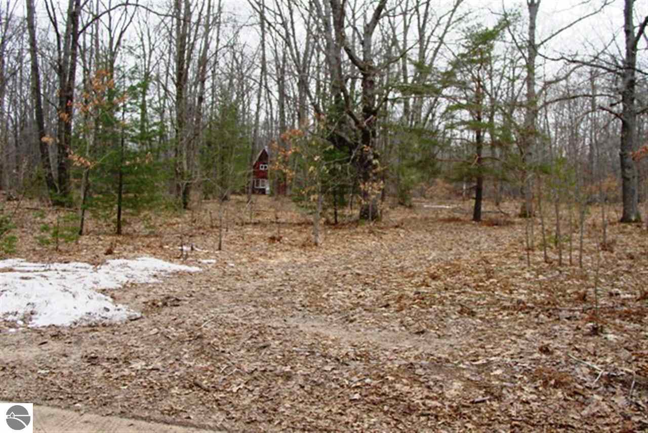 6752 Puustinen Road Kaleva, MI 49645 - Photo 25 of 27 1782727-24.JPG