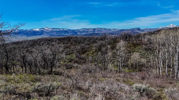 a view of a swimming pool with a yard