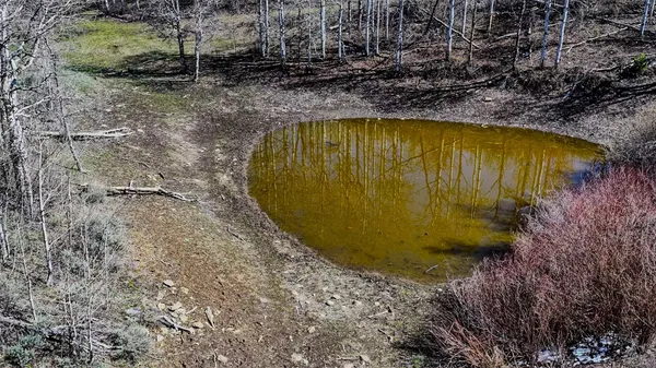 a view of a lake from a yard