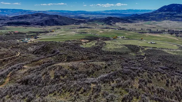 a view of a lush green forest with lots of green space