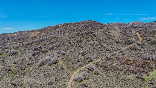 a view of a dry yard